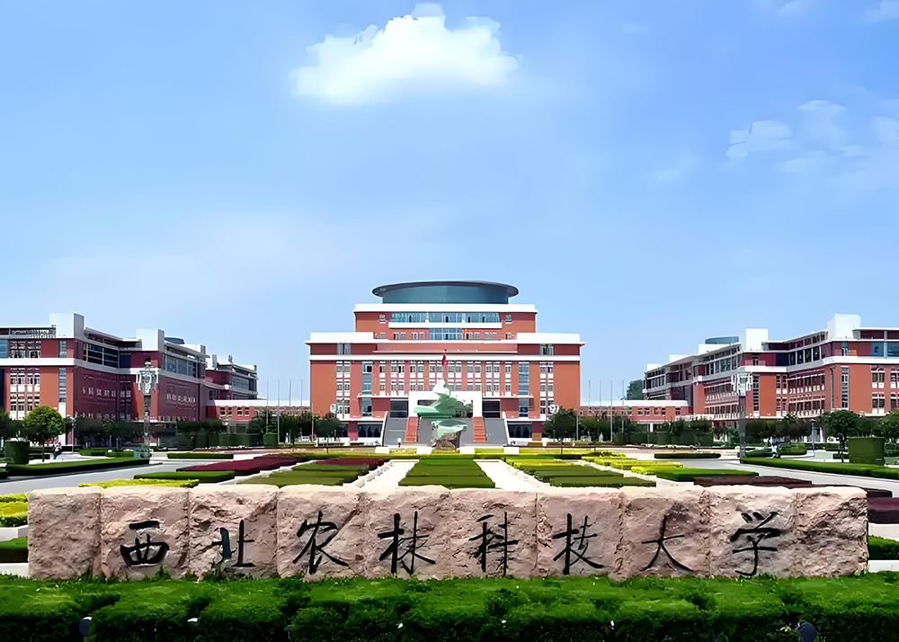 fengmian-14.jpg